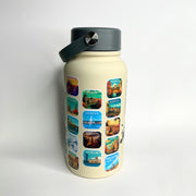 🌍 PACK 5 CONTINENTS