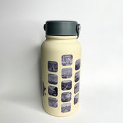 🌍 Édition Afrique